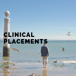 Clinical Placements - study